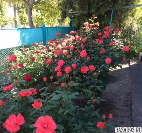 Продам дом 1-этажный дом 35 м² ( экспериментальные материалы )  на участке 7 сот