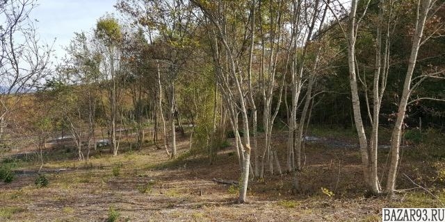 Продам участок 2. 5 га ,  земли сельхозназначения (СНТ,  ДНП)  ,  2 км до города