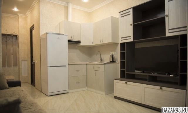 Сдам квартиру посуточно 1-к квартира 25 м² на 16 этаже 19-этажного монолитного д